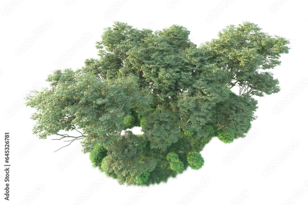 Fototapeta premium Realistic forest isolated on transparent background. 3d rendering - illustration