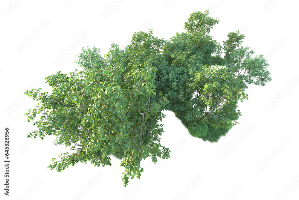 Fototapeta premium Realistic forest isolated on transparent background. 3d rendering - illustration