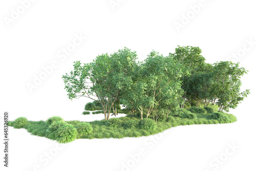 Realistic forest isolated on transparent background. 3d rendering - illustration