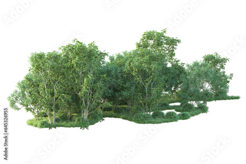 Realistic forest isolated on transparent background. 3d rendering - illustration