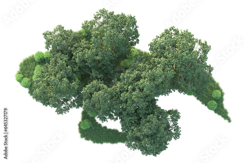 Realistic forest isolated on transparent background. 3d rendering - illustration