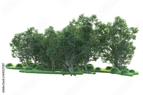 Realistic forest isolated on transparent background. 3d rendering - illustration © Cristian