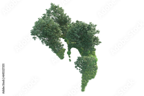 Realistic forest isolated on transparent background. 3d rendering - illustration