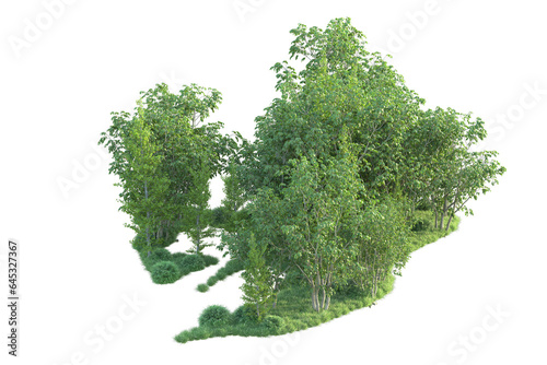 Realistic forest isolated on transparent background. 3d rendering - illustration