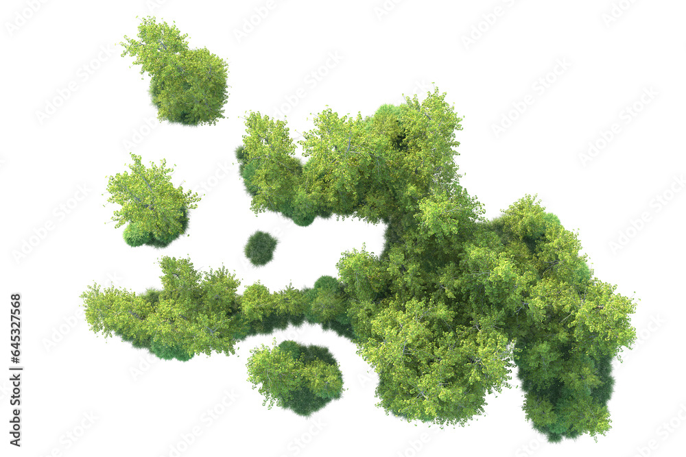 Realistic forest isolated on transparent background. 3d rendering - illustration Realistic forest isolated on transparent background. 3d rendering - illustration