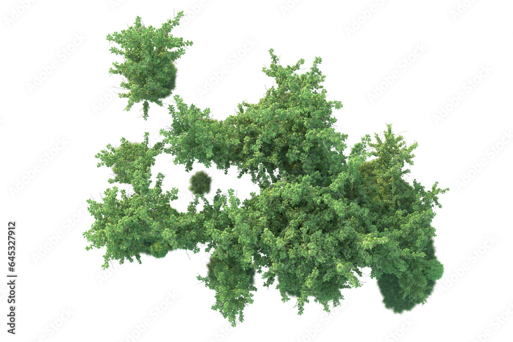Fototapeta premium Realistic forest isolated on transparent background. 3d rendering - illustration