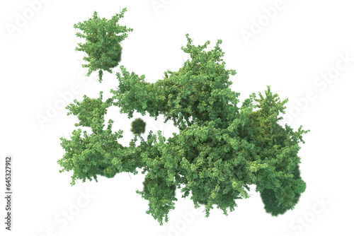 Realistic forest isolated on transparent background. 3d rendering - illustration