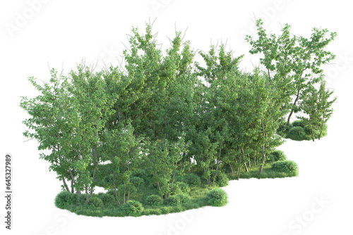 Realistic forest isolated on transparent background. 3d rendering - illustration