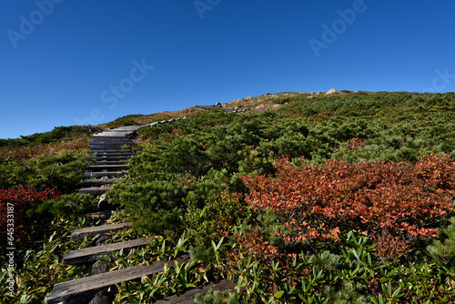 Mount. Shibutsu, Oze, Gunma, Japan photo