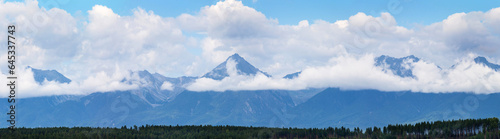 Panoramic view of rocky mountain peaks in low cumulus clouds above tops of green coniferous forest. Beautiful mountain landscape, natural background. Eastern Sayan Mountains, Tunka valley, Buryatia