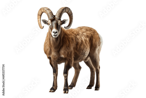 Intriguing Ibex Isolated on a Transparent PNG Background. Generative Ai