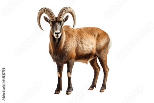 Magnificent Ibex Isolated on a Transparent PNG Background. Generative Ai