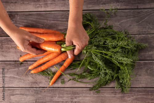 woman's hands manipulating bunch of fresh carrots