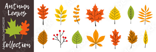 Fall leaves collection. Autumn  leaves silhouette set. Colorful Autumn falling leaves.