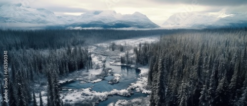 drone shot of a frozen lake surrounded by dense forests, the surface cracked with frost patterns, and distant snow-capped peaks 