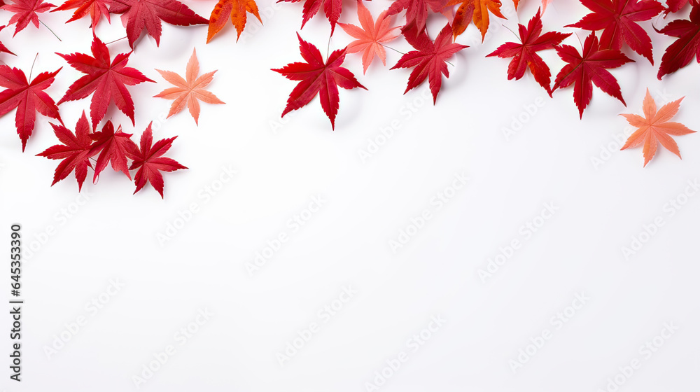 Frame design of maple leaves on the white background Frame design of maple leaves on the white background