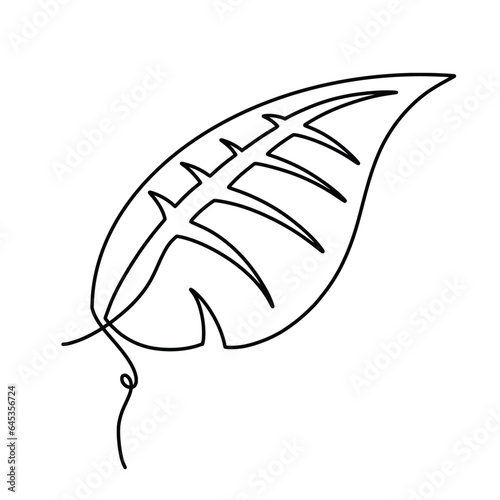 Vector continuous one line Leaves illustration