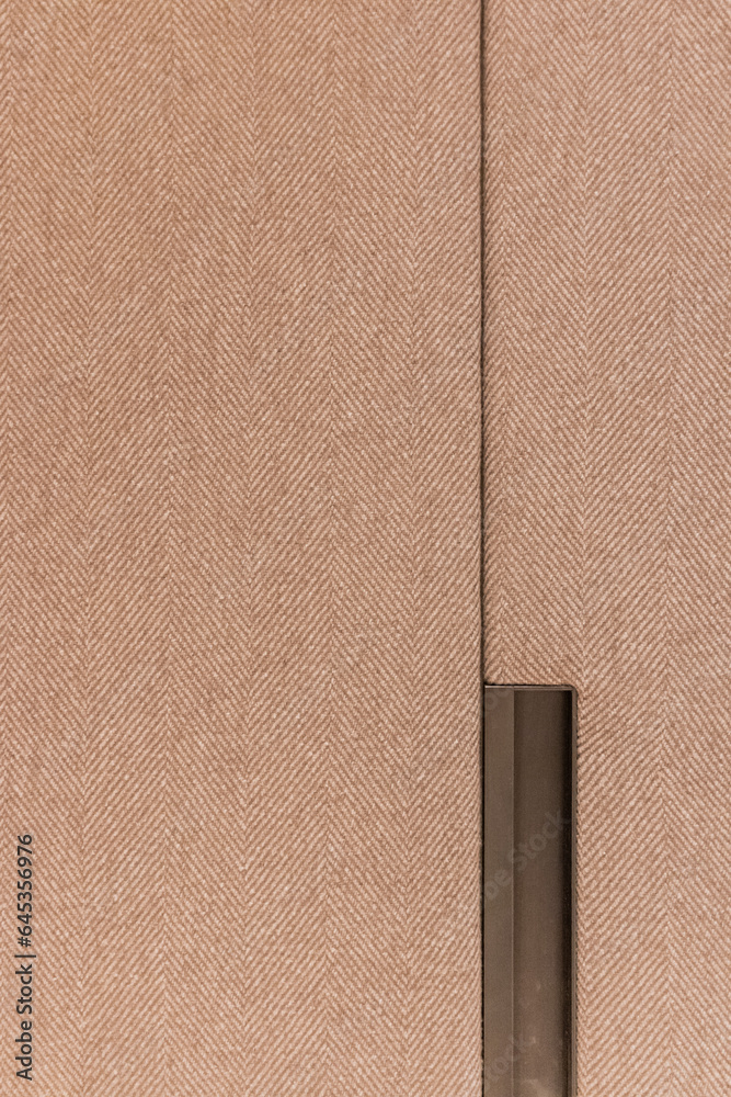 Fototapeta premium Cashmere boiserie