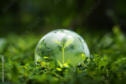 Crystal globe placed on the grass for the environment Society and Governance Sustainable global environment concept.