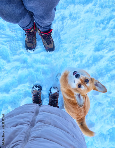 Top down view of Pembroke Welsh Corgi dog and a couple standing in the snow, winter wonderland wallpaper