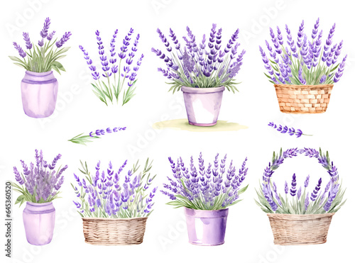 Set watercolor lavender bouquet in bucket, basket.