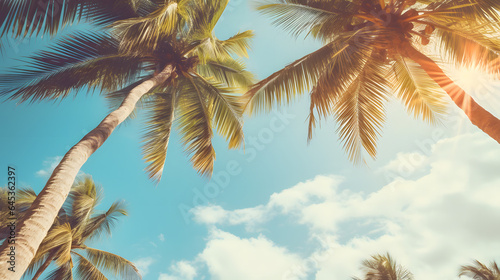 Vintage Tropical Beach: Blue Sky and Palm Trees View