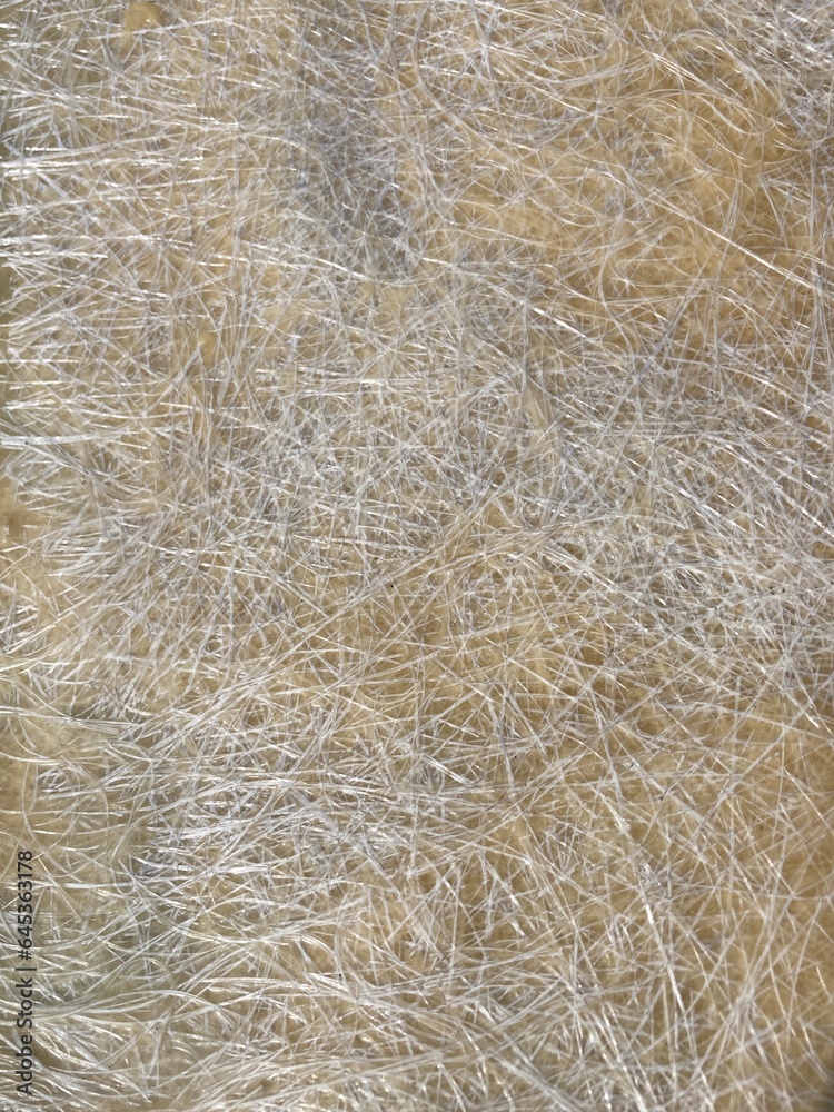 Picking up fibers from a glass fiber mat Picking up fibers from a glass fiber mat