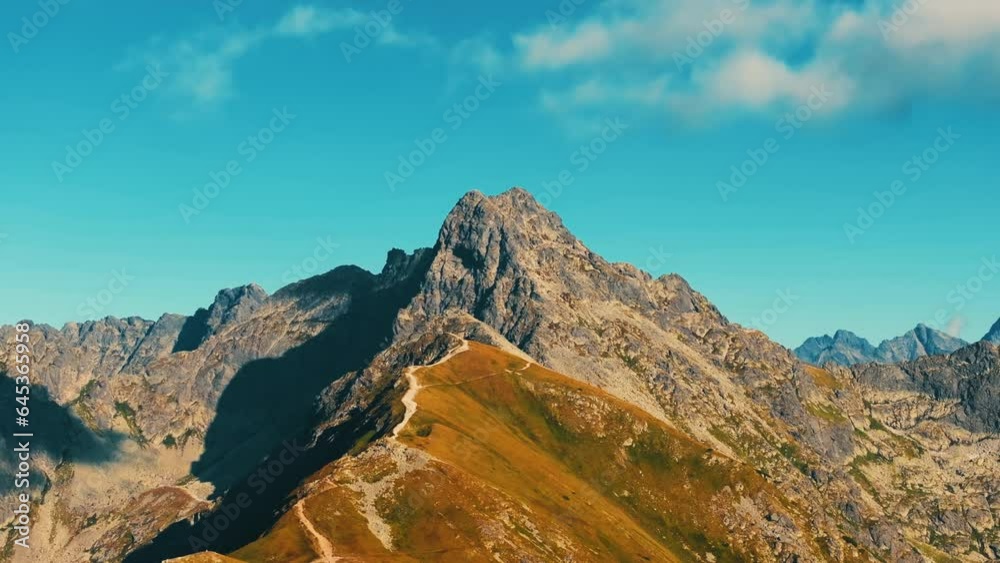 Aerial Fly Through Tree Frame to Snowy Mountain Range. Massive rocky mountains at sunset. View of the peaks of the rocky mountains. Aerial Fly Through Tree Frame to Snowy Mountain Range. Massive rocky mountains at sunset. View of the peaks of the rocky mountains.