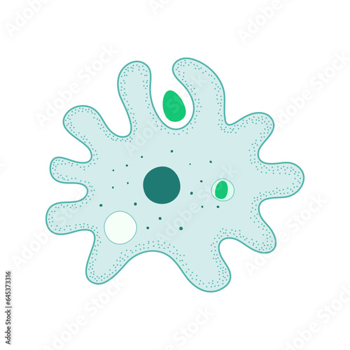 Amoeba on a white background.