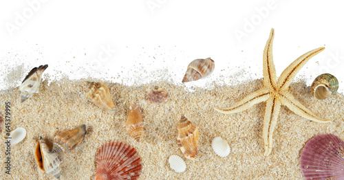 Photography shells on sand border isolated