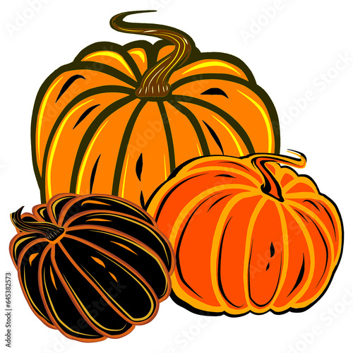Autumn pumpkins. Orange and black color autumn vegetable Digital illustration. Template for thanksgiving, card, sticer, halloween photo