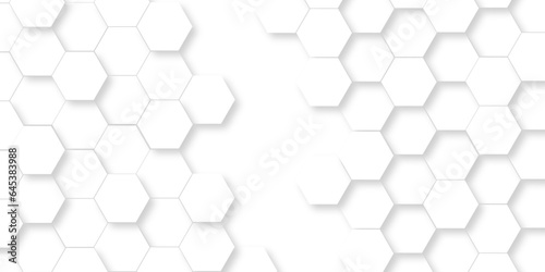 White Hexagonal Background. Luxury White Pattern. Vector Illustration. 3D Futuristic abstract honeycomb mosaic white background. geometric mesh cell texture. 