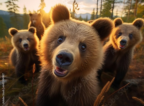 A group of bear cubs looking at the camera © cherezoff