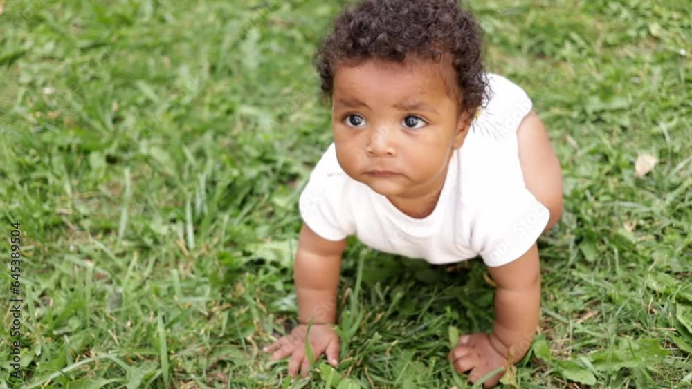 a six-month-old black African-American kid crawls on the green grass on the lawn in the summer playing with grass a six-month-old black African-American kid crawls on the green grass on the lawn in the summer playing with grass