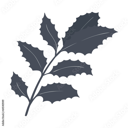 Christmas holly sprig. Winter plants, for New Year greetings or cards