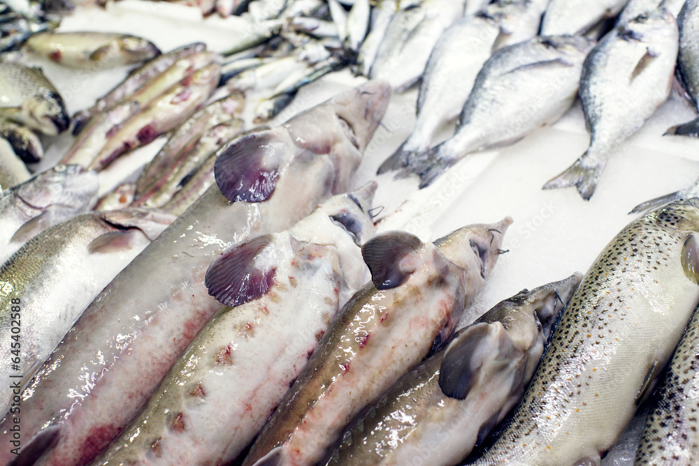 Fresh fish on ice or in boxes on a market counter