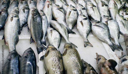 Fresh fish on ice or in boxes on a market counter photo