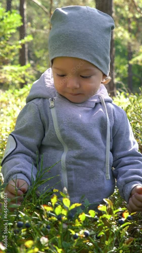 Adorable little boy picking blueberry in the forest on summer day in Finland Adorable little boy picking blueberry in the forest on summer day in Finland