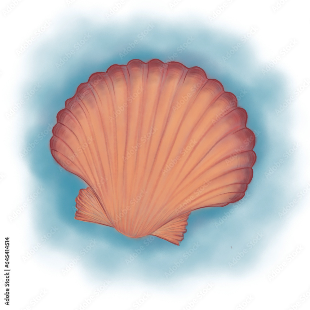 Shell 0001 Shell 0001