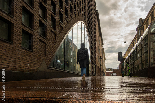 Canvas-taulu Helsinki, Finland A person walks by the facade of the University of Helsinki Library on a rainy day