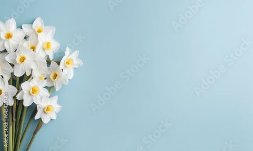 A narcissus flowers bouquet on a pastel blue background with empty copyspace. © smth.design