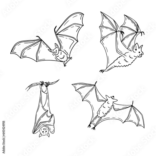 Collection of doodle single line cartoon bats. Sketch hand drawn design for Halloween for coloring pages, stickers, tatoo. Black outline animals simple drawn on white background.