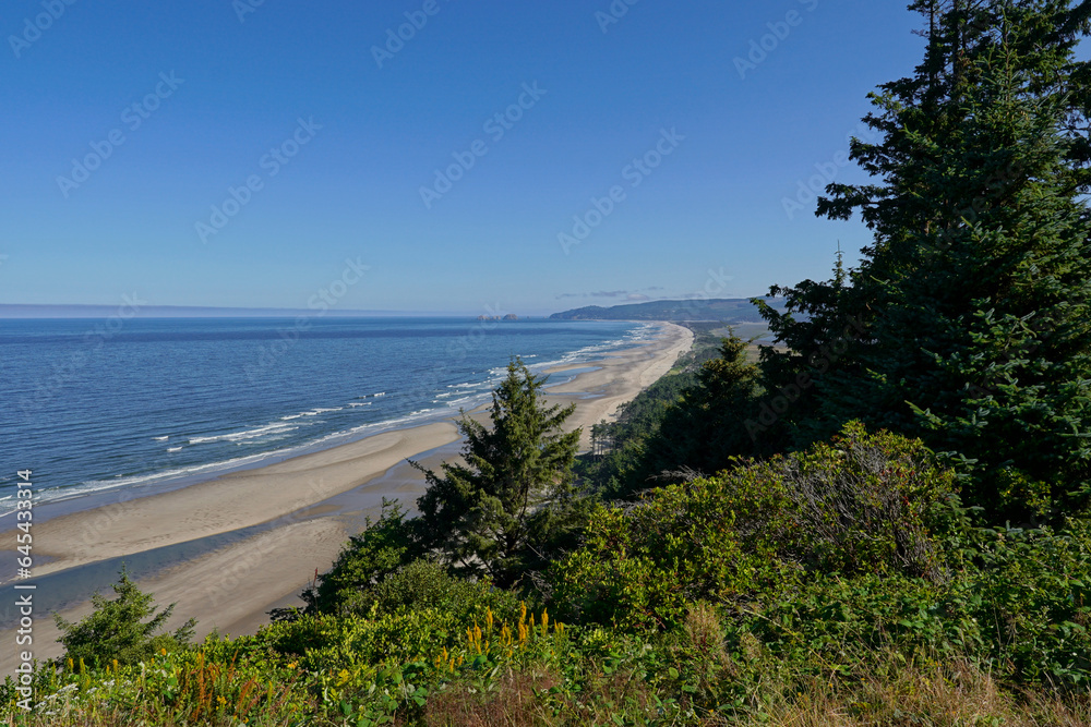 Oregon Coast at Cape Lookout State Park