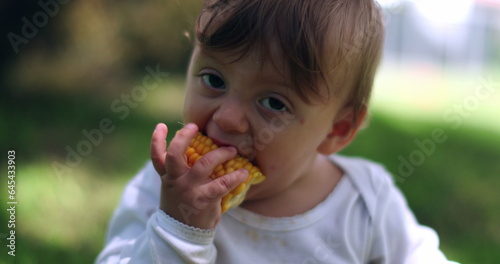 Adorable baby taking a bite of corn cob. Infant toddler portrait eating healthy snack outside in nature