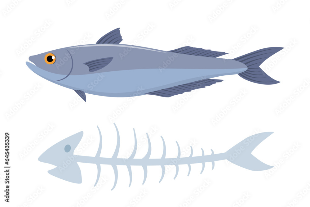 Naklejka premium Fish with his fishbone, on white background. Organic waste. Vector illustration.
