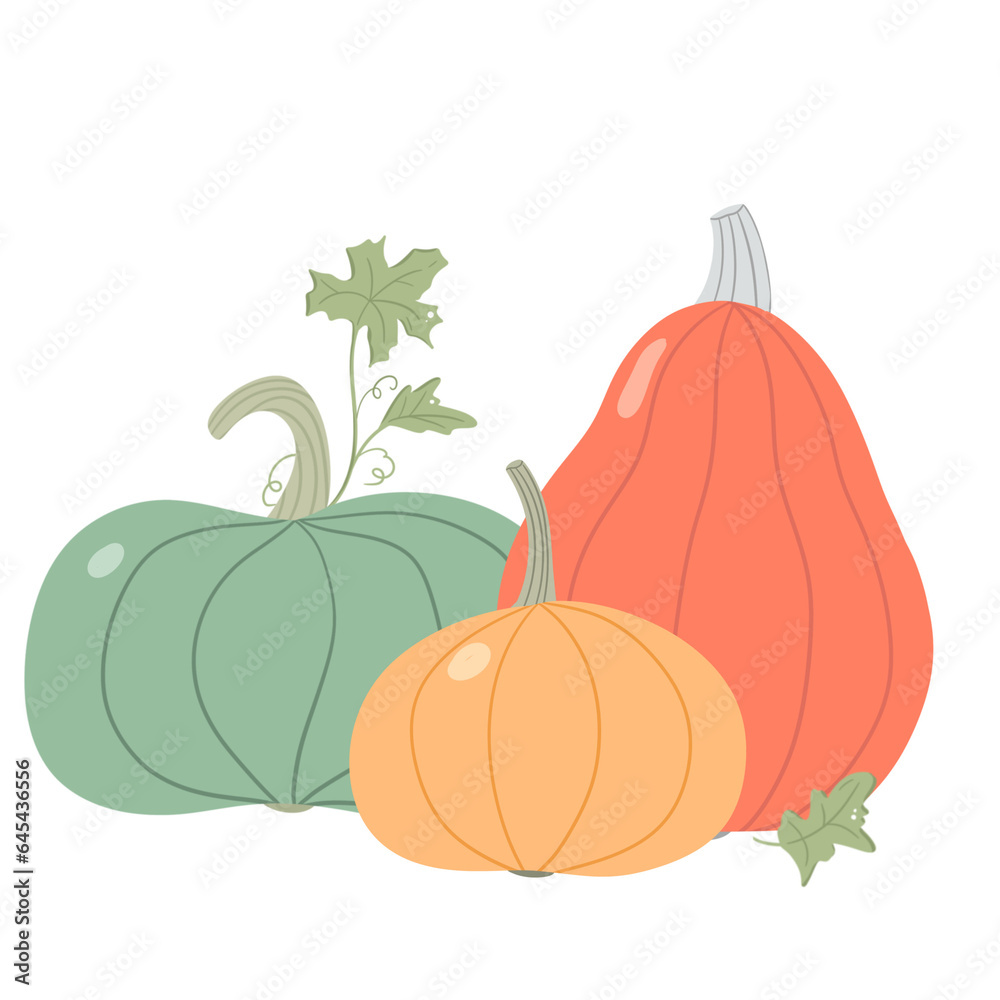 Composition of pumpkin with leaves for autumn, fall season. A decorative isolated element of harvest items