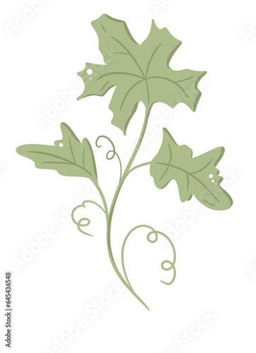 Decorative leaves element, isolated, in green sage color, can be used for clipart, icons, stickers 