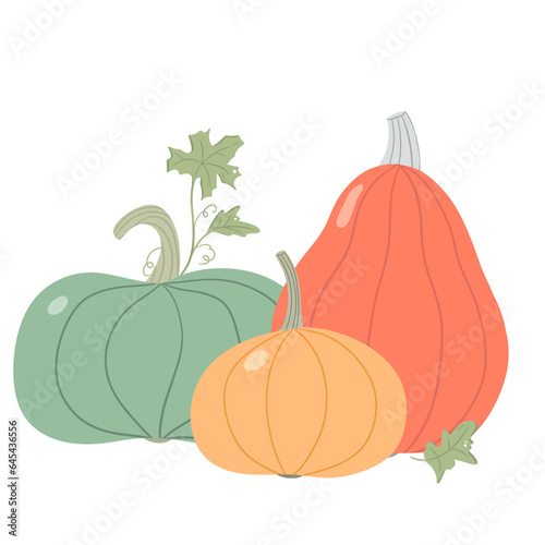 Composition of pumpkin with leaves for autumn, fall season. A decorative isolated element of harvest items