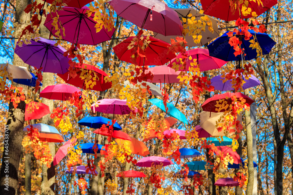 Fototapeta premium Multicolored umbrellas on the autumn park. Colorful umbrellas hanging among trees in the fall