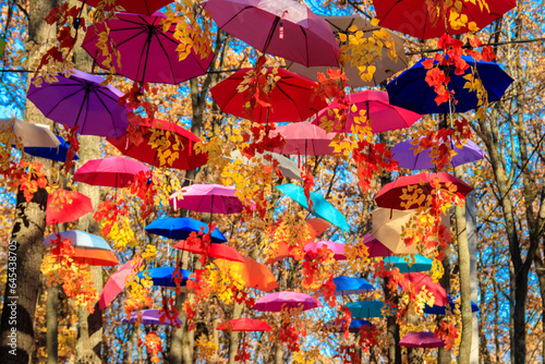 Fototapeta Naklejka Na Ścianę i Meble -  Multicolored umbrellas on the autumn park. Colorful umbrellas hanging among trees in the fall